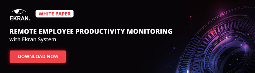 Whitepaper on productivity monitoring