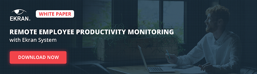 Whitepaper on productivity monitoring